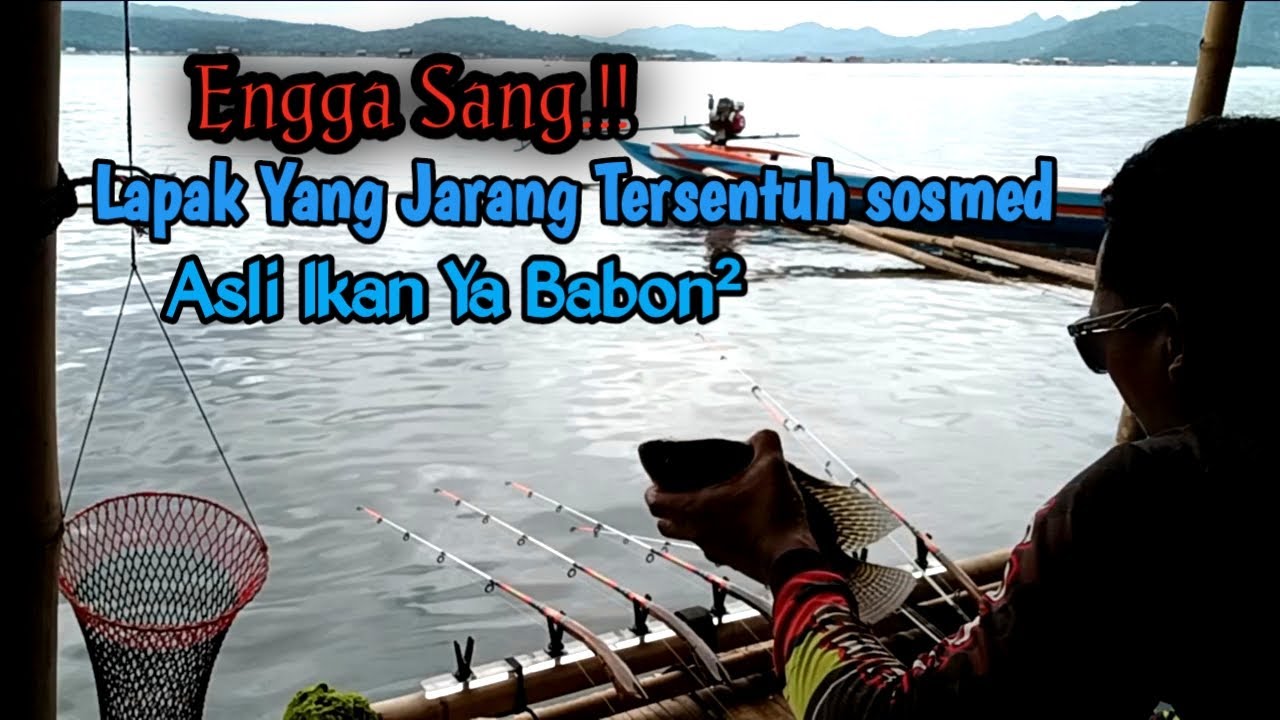 Di luar Duga an lapak yang jarang diketahui ternyata ikan ya babon²