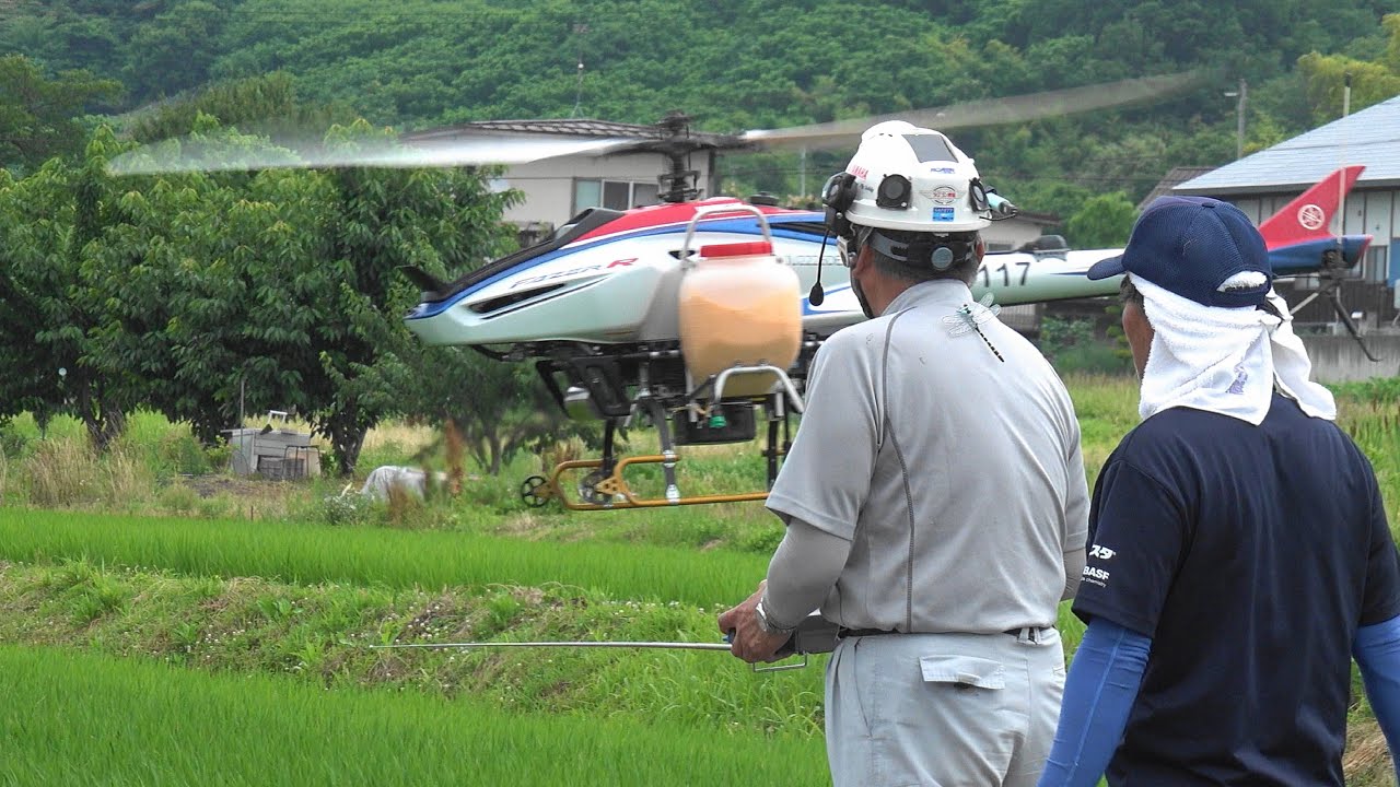 2022 農薬散布 ① RC Heli 「YAMAHA FAZER R」 4K版