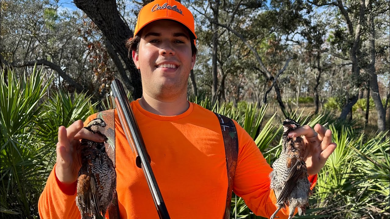 Quail Hunting Florida!! PUBLIC Land