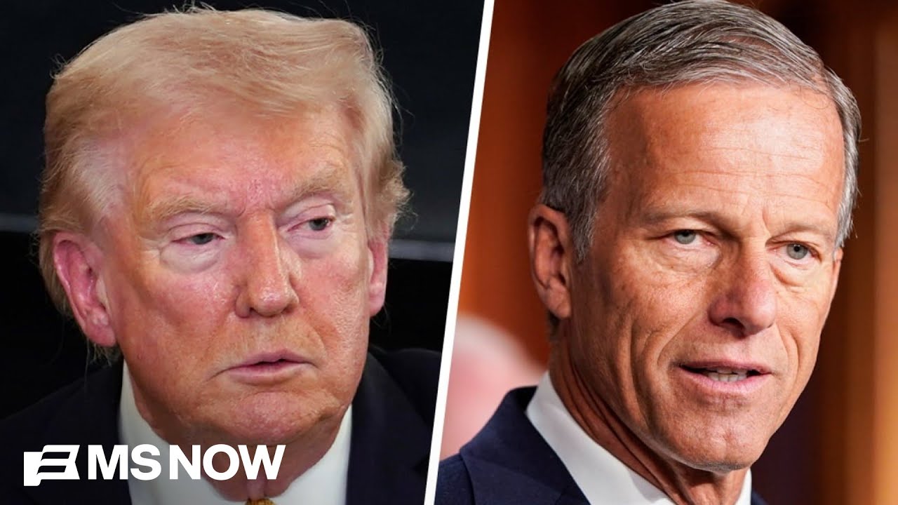 Thune 'tried to talk Trump out of' endorsing primary challenger to Cassidy: Source