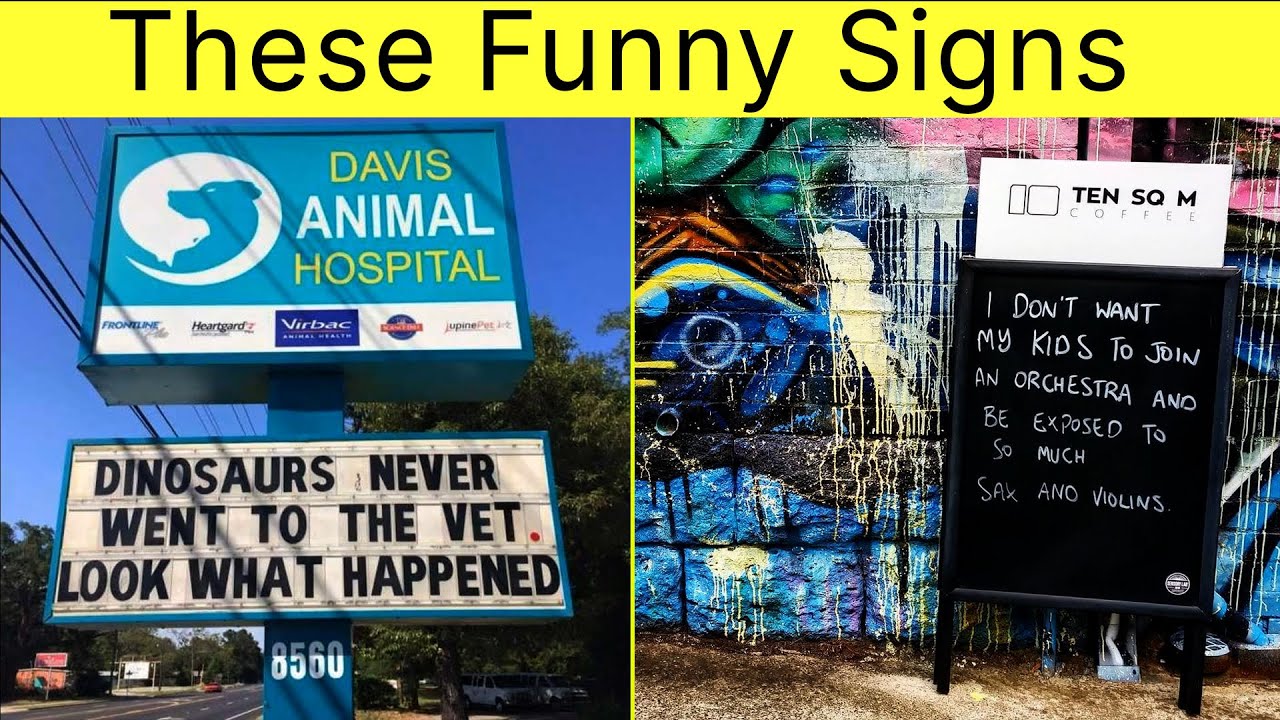 These Funny Signs Turn Everyday Life Into a Comedy Show – Don’t Miss! || Happy Panda