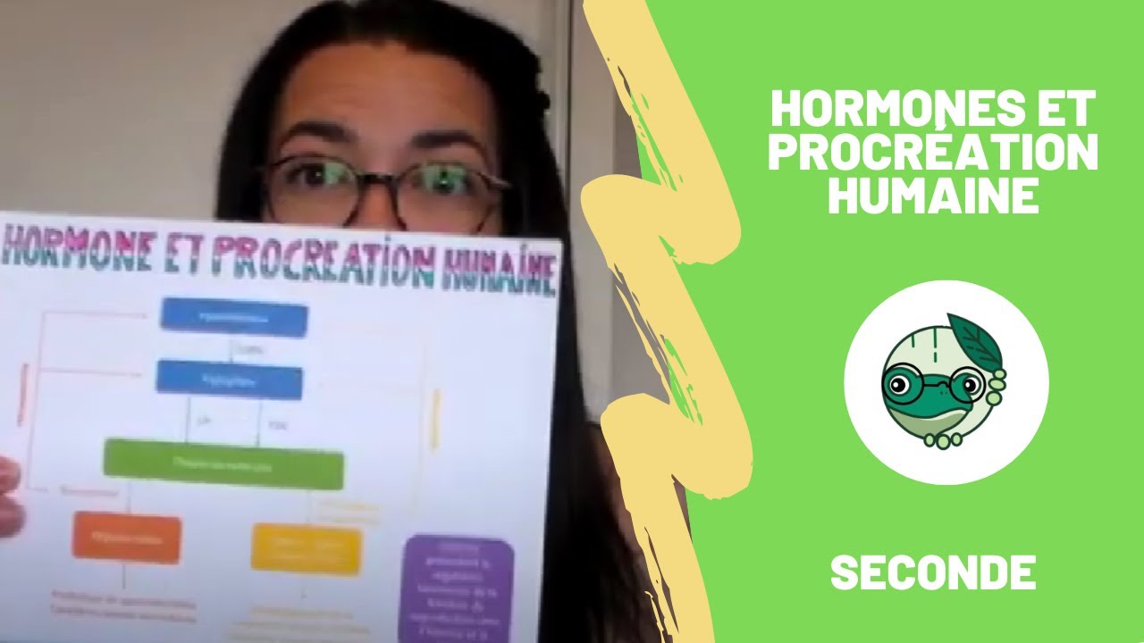 Hormones et procr&eacute;ation humaine - 2nde - Madame SVT