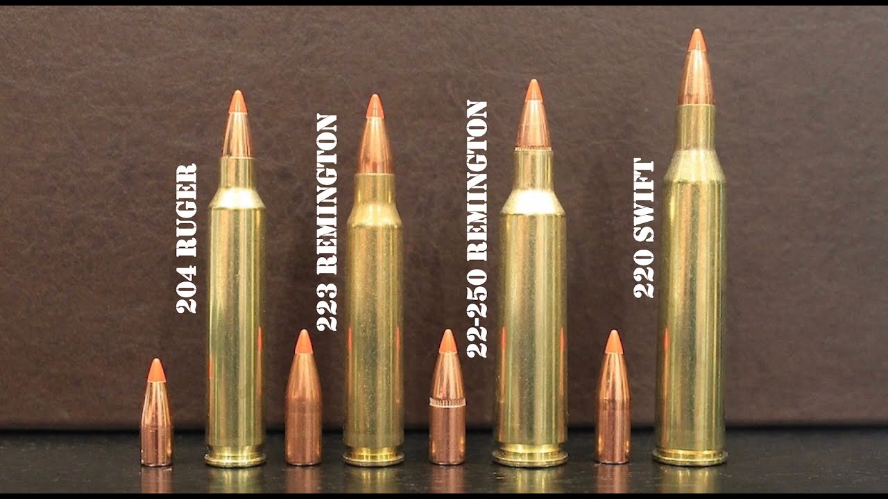 Обзор и сравнение 204 Ruger против 223 Remington против 22-250 Remington против 220 Swift