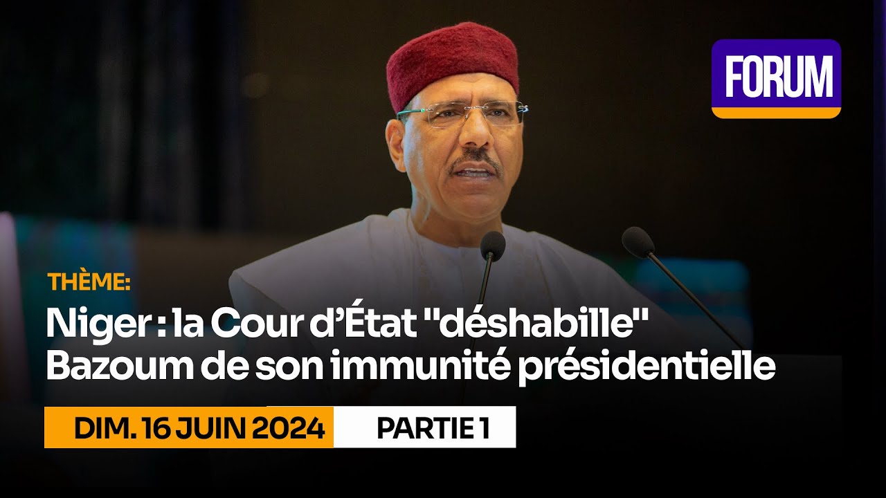 Niger : la cour d'état 