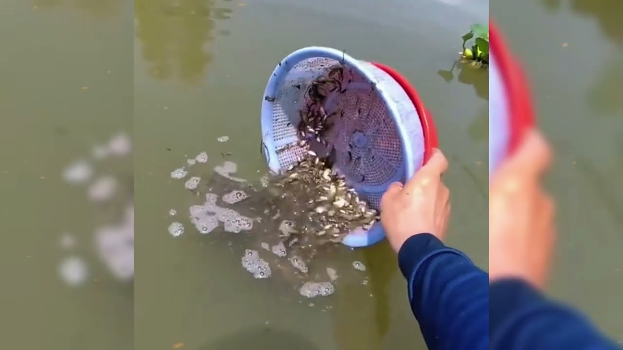 Kevin rescató un grupo de peces atrapados en un pozo de lodo 🐠🙏❤️
