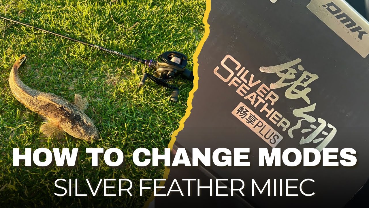 Change Modes on DMK Silver Feather MIIEC BFS Reel | Swan River Fishing, Perth.