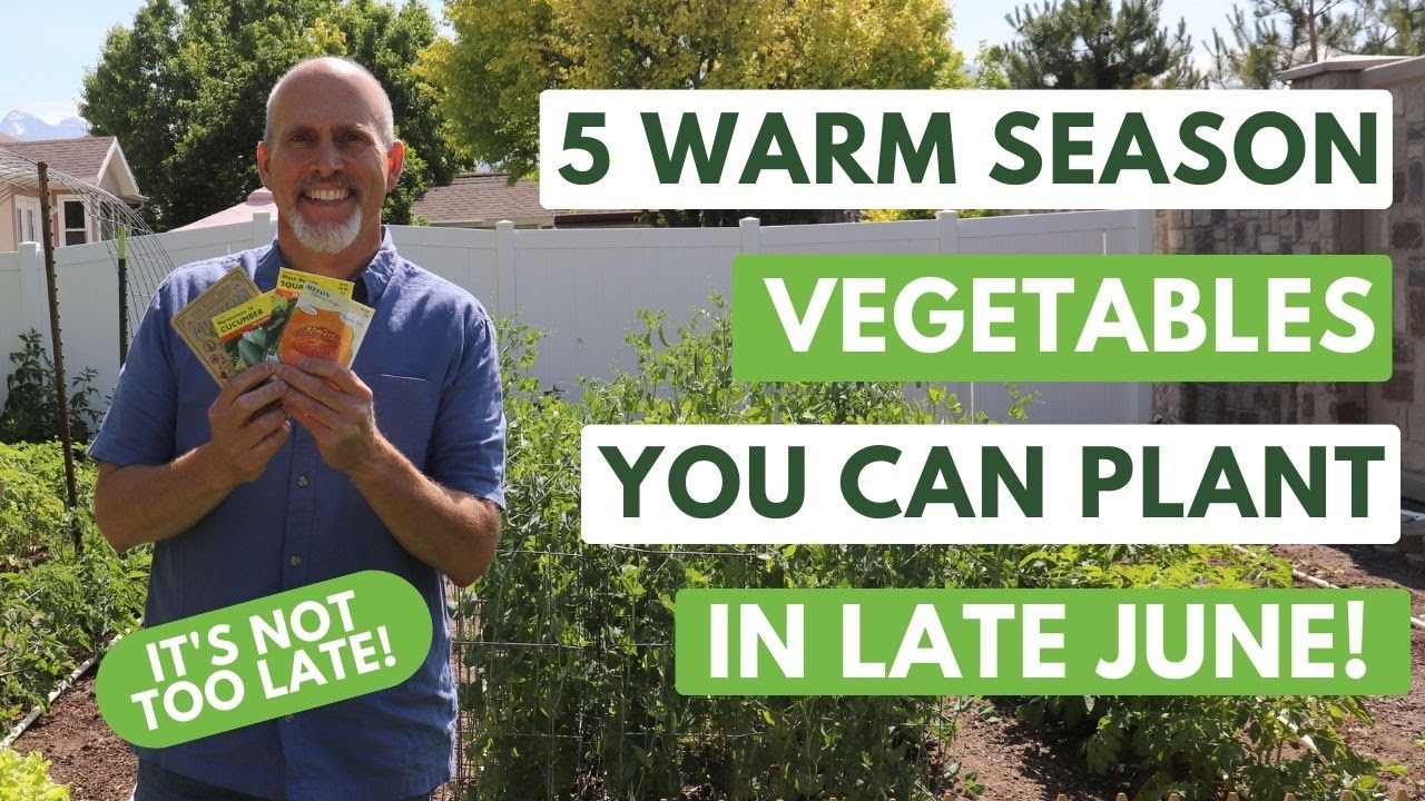 5 Warm Season Vegetables You can Still plant in Late June!