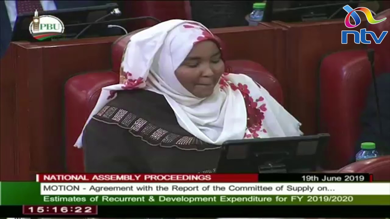 Speaker Muturi, Duale reprimand Wajir Women Rep Fatuma Gedi