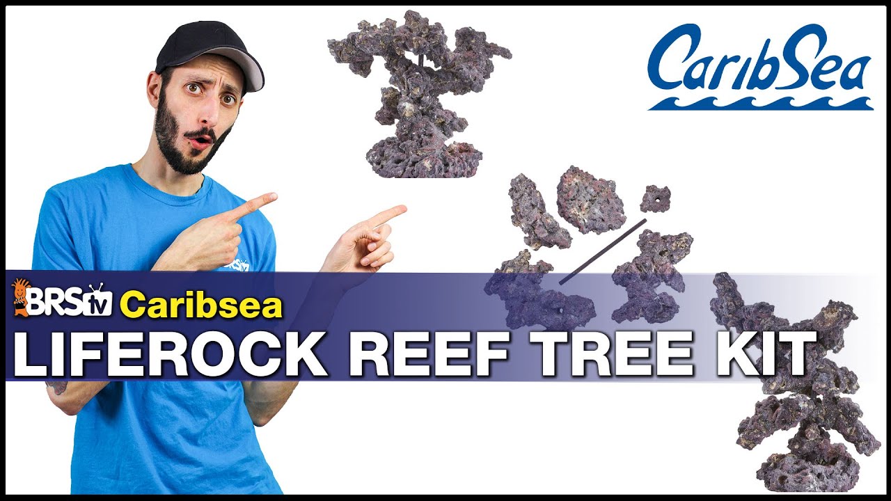 CaribSea Reef Tree Kit Review: What is it? How to use it? Is it the aquascape your reef tank wants?