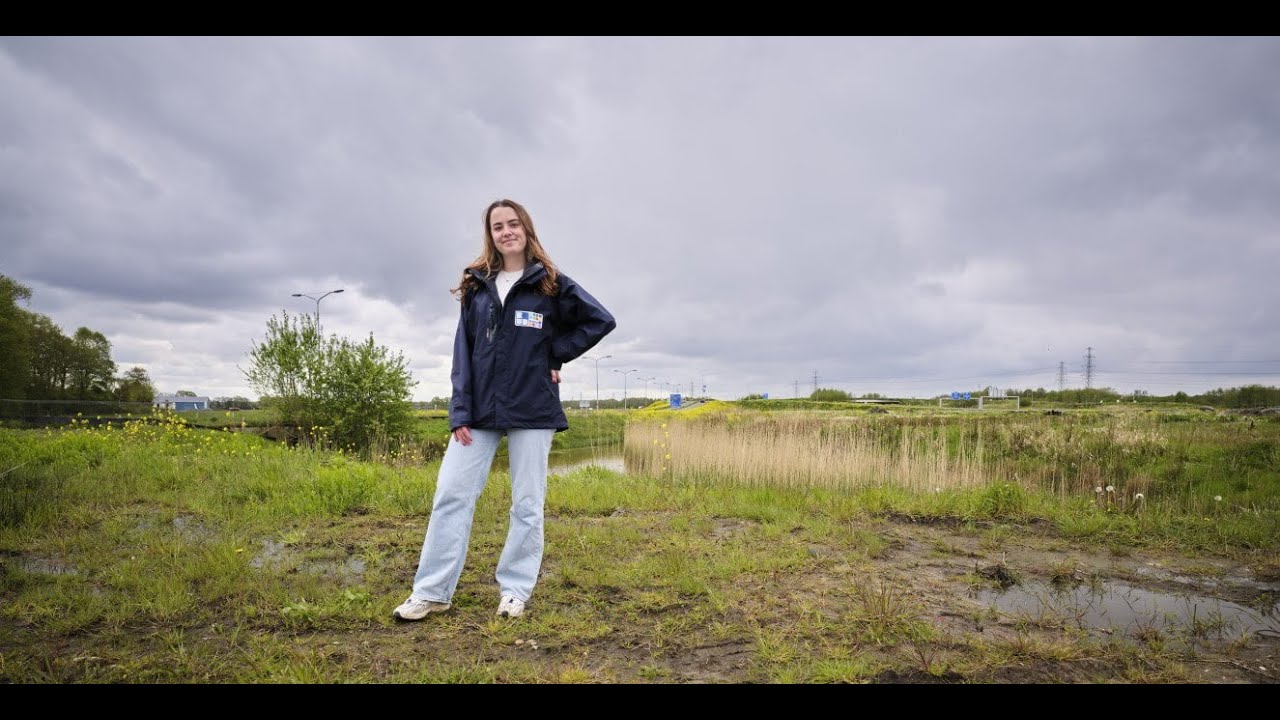 Werken bij de Noordelijke Omgevingsdiensten - (junior) Adviseur Geluid