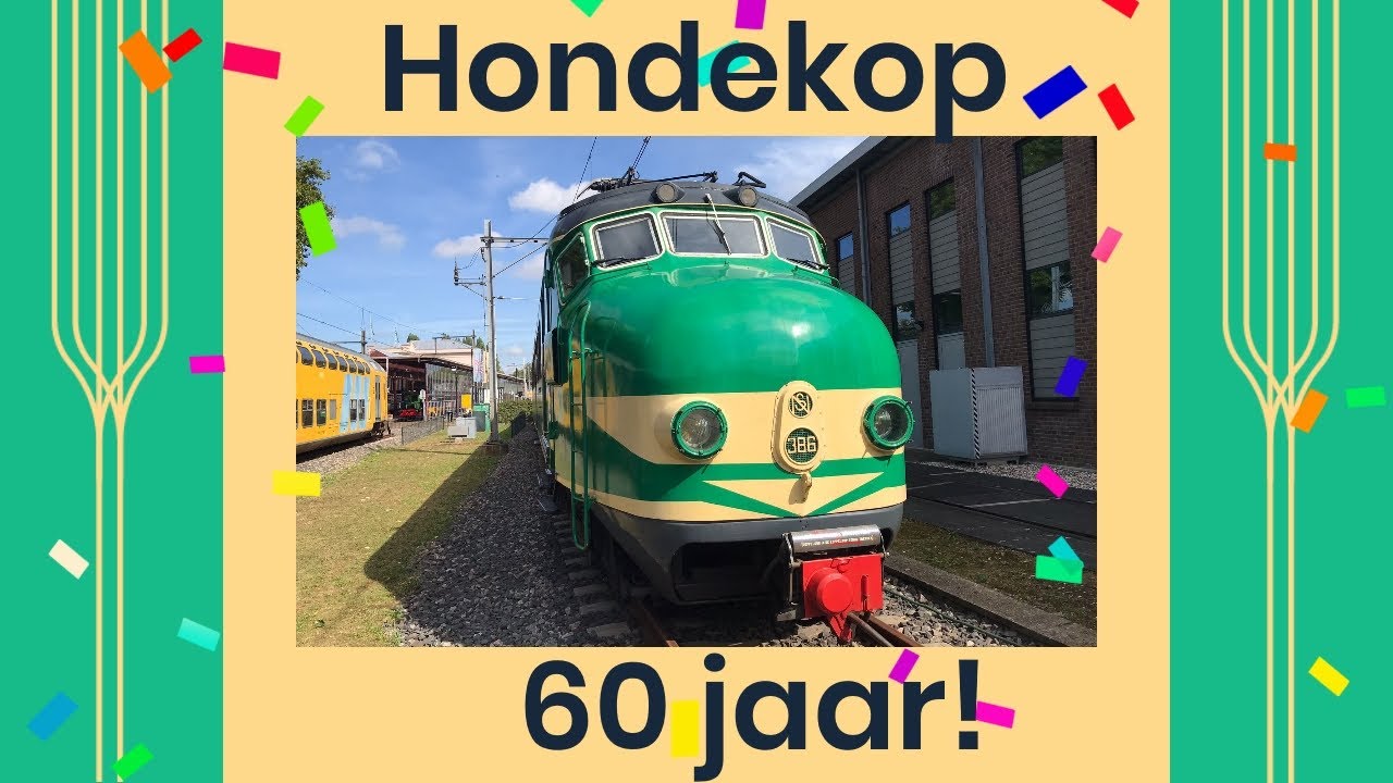 Hondenkop 60 jaar!