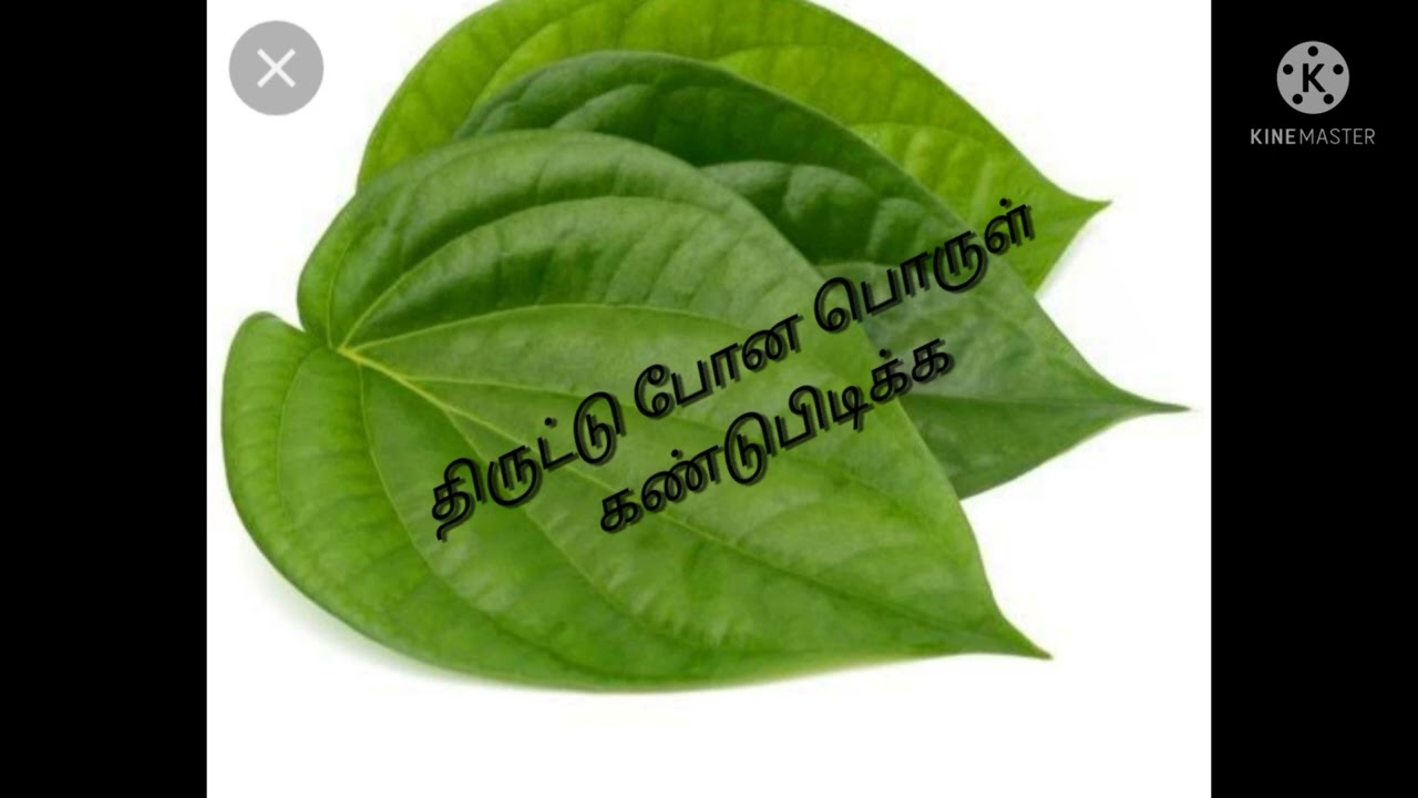 திருட்டு போன பொருள் கண்டுபிடிக்க# மாந்திரீகம்# தாந்திரீகம்