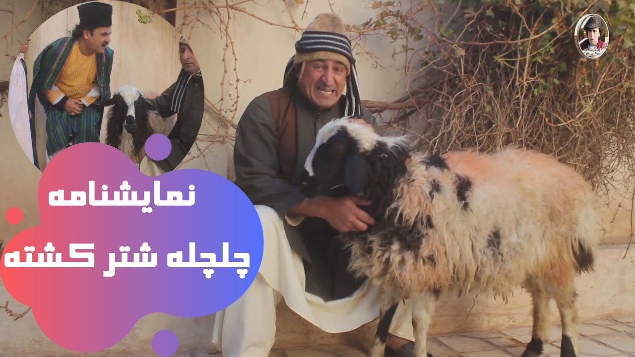 نمایشنامه چلچله شتر کشته