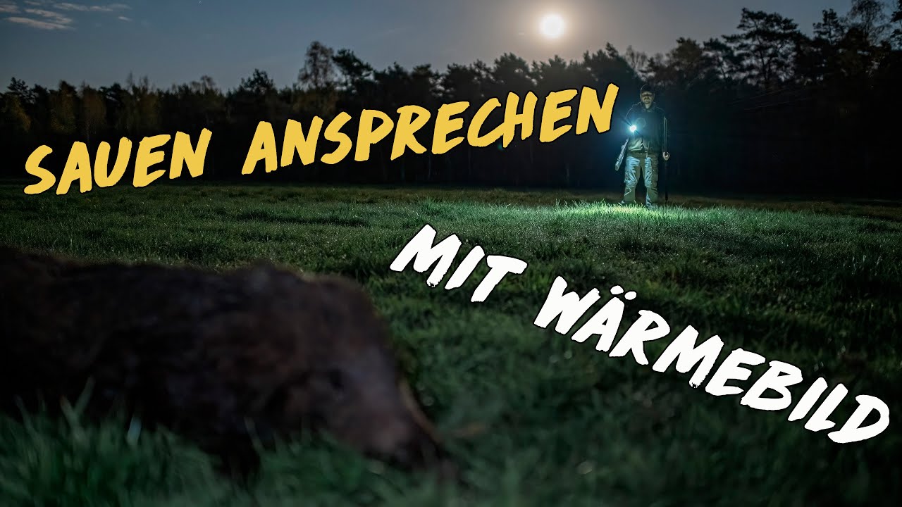 Mit W&auml;rmebild richtig ansprechen