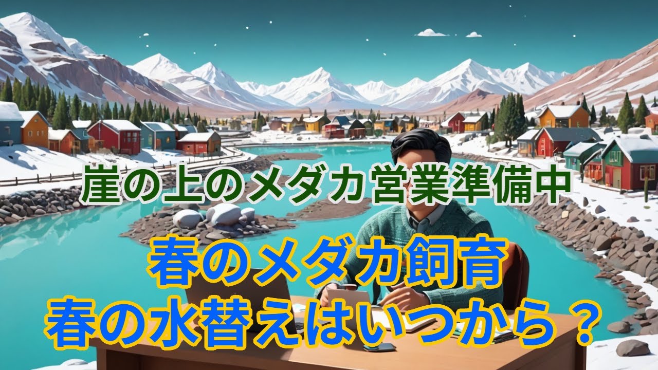 【メダカ屋の春準備】営業再開直前！春の水換えは〇〇から始めます。現在の飼育場と今後の予定を公開！【崖の上のメダカ】換水・エサやりはいつから？