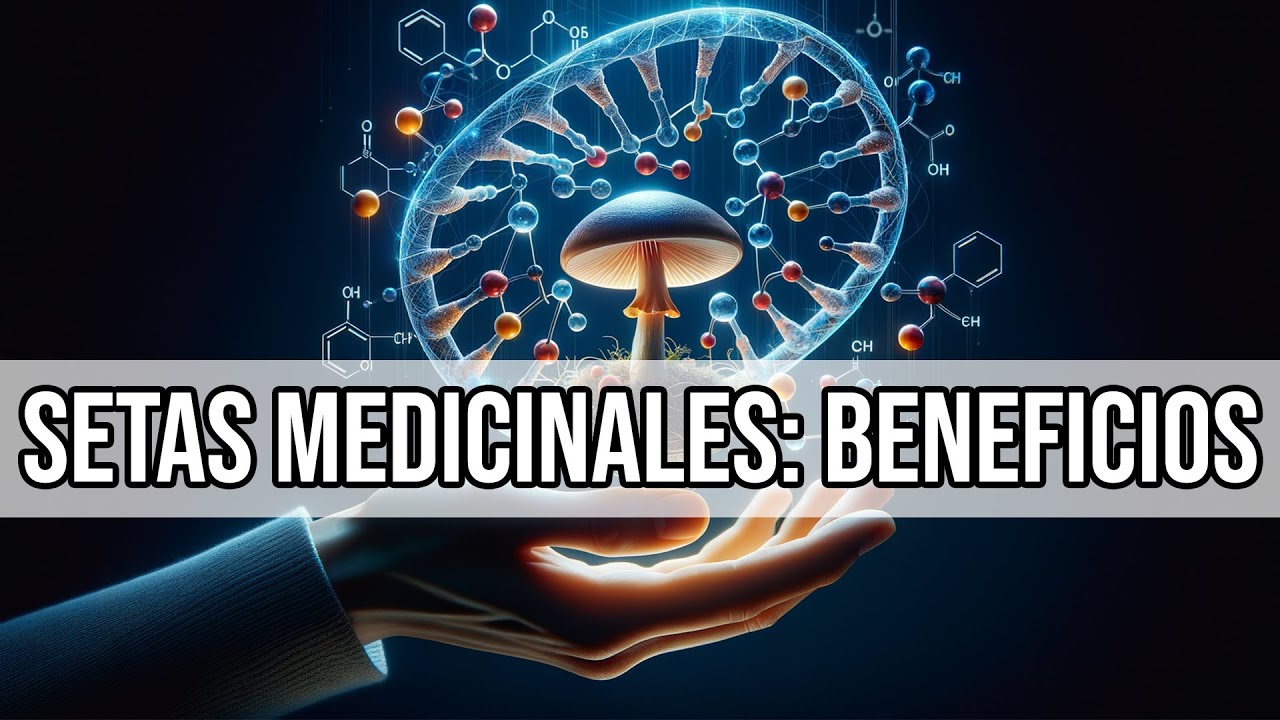 Micoterapia: Biomol&eacute;culas presentes en las Setas Medicinales [BENEFICIOS] - Mar Alonso