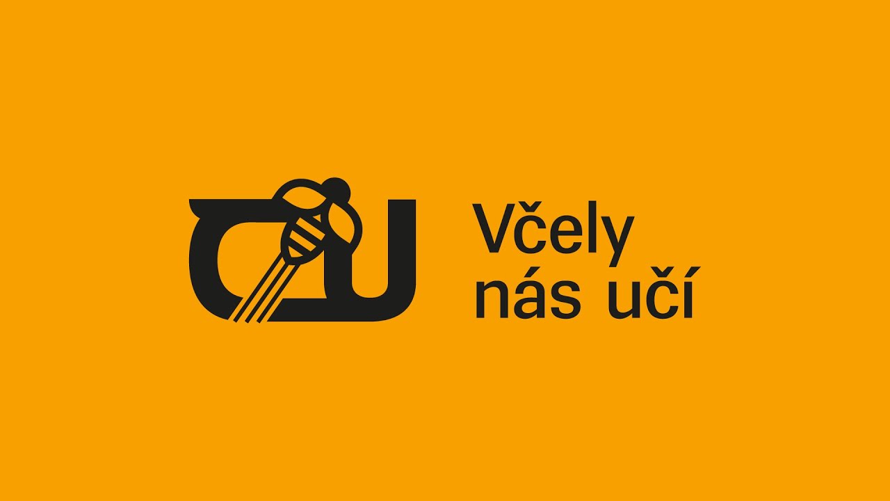 #3 Fenomenální včely