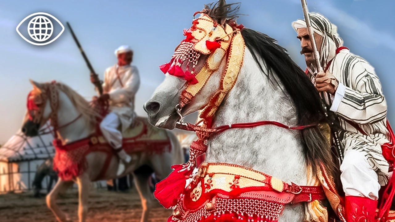 Что делает гонщиков Zayanes уникальными в мире? ⎮Документальный фильм о Марокко⎮AMP