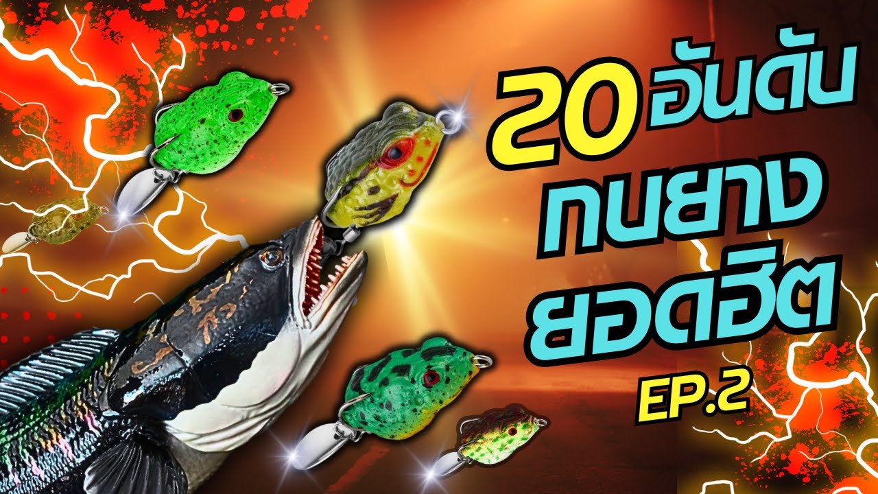 20อันดับกบยางยอดฮิต EP 2