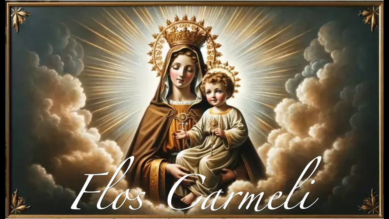 Flos Carmeli