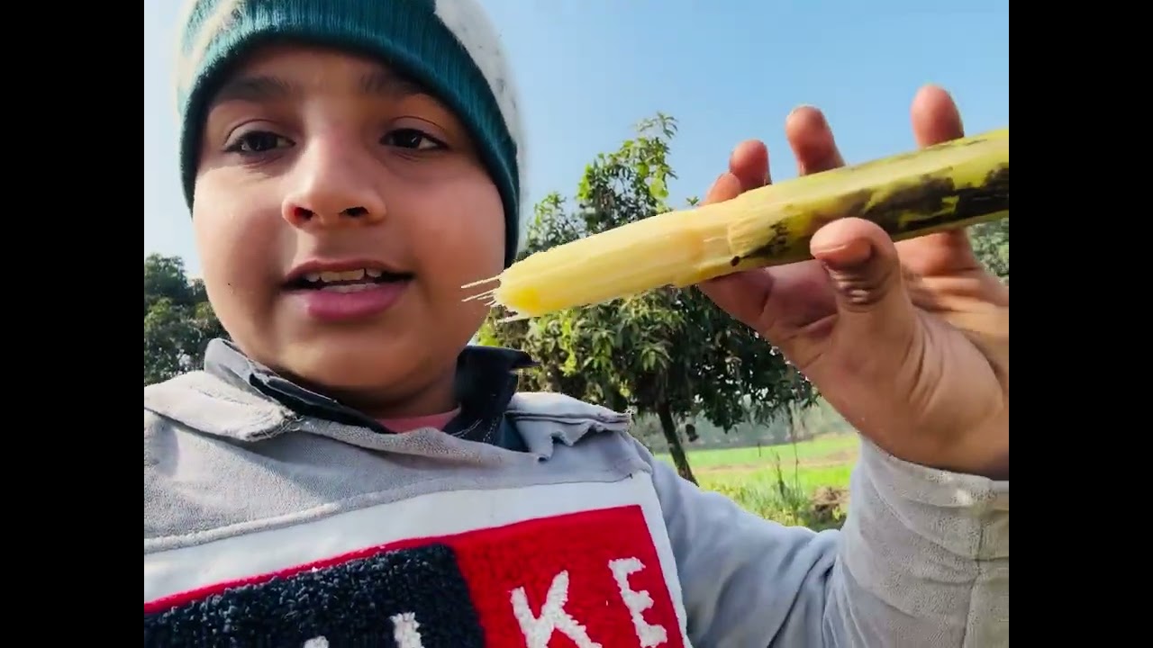 हम गए अपने गाँव winter vacation में 🎉🥰और वहाँ जाकर की खेतों की सैर😎🦚