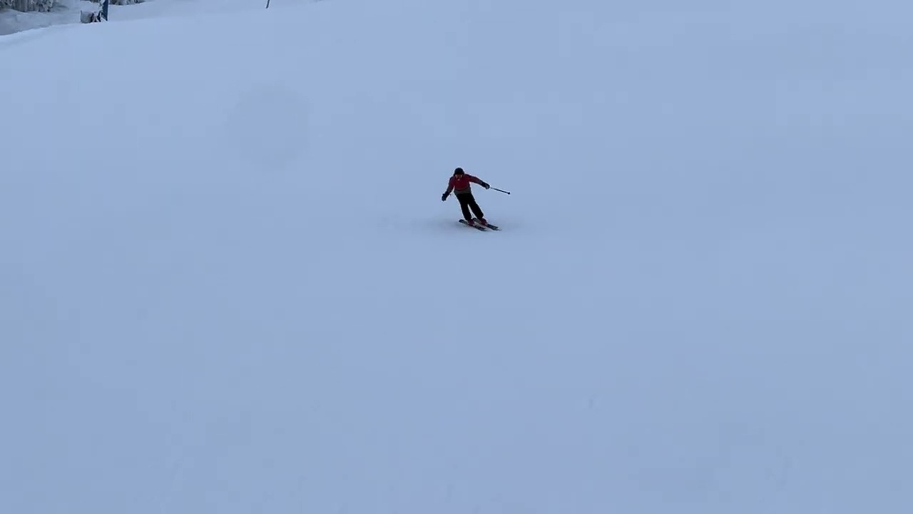 Carving! #ski #viral #downhillskiing 