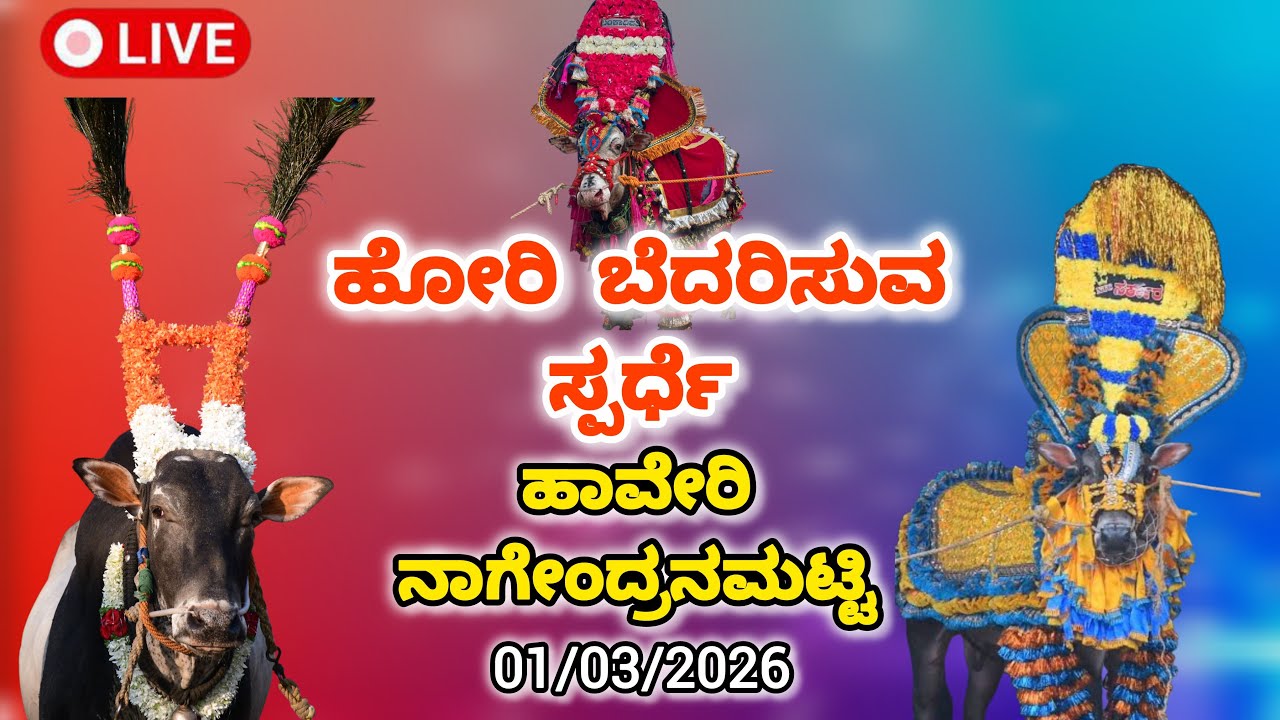 ಹಾವೇರಿ ನಾಗೇಂದ್ರನಮಟ್ಟಿ ಹೋರಿ ಹಬ್ಬ Live‼️||𝗛𝗮𝘃𝗲𝗿𝗶 𝗛𝗼𝗿𝗶 𝗛𝗮𝗯𝗯𝗮 𝗟𝗶𝘃𝗲||