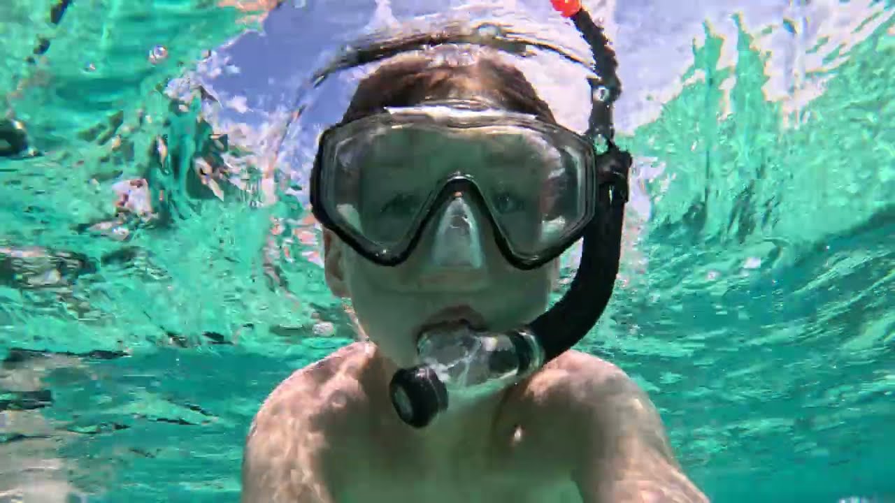 Snorkling på Mauritius del två 2️⃣ ￼