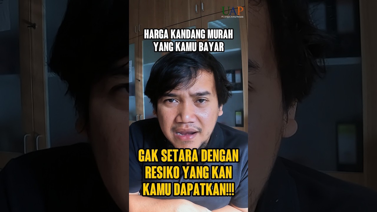 HARGA KANDANG MURAH TAPI KAPASITAS DIPANGKAS, RUGI APA UNTUNG?