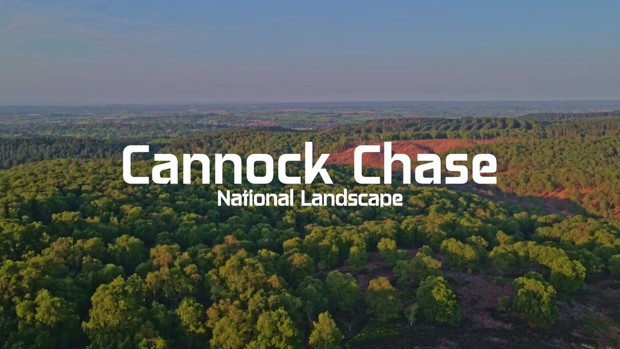 Cannock Chase National Landscape | A Breathtaking Journey Through Nature | Tanbir Studio
