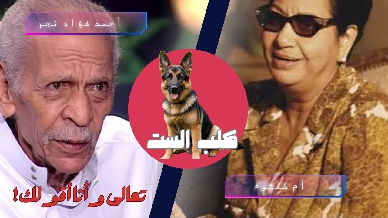 الصحفي| كلب الست.. القصة الكاملة