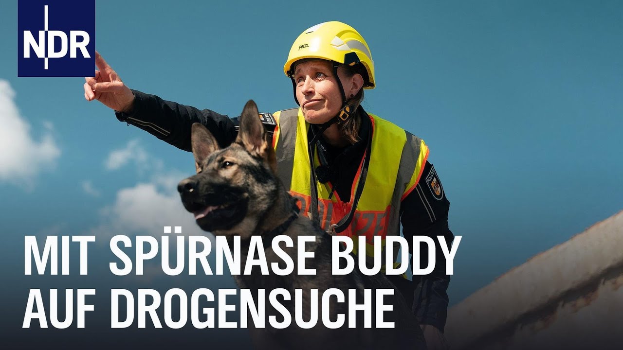 Polizei: Spürhunde bei der Arbeit | Die Nordreportage | NDR Doku