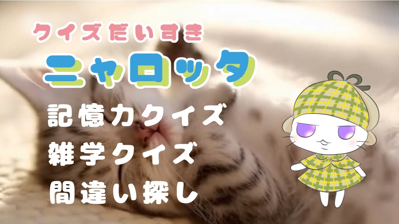 クイズ大好きニャロッタ　#猫　#クイズ #cat #脳トレ