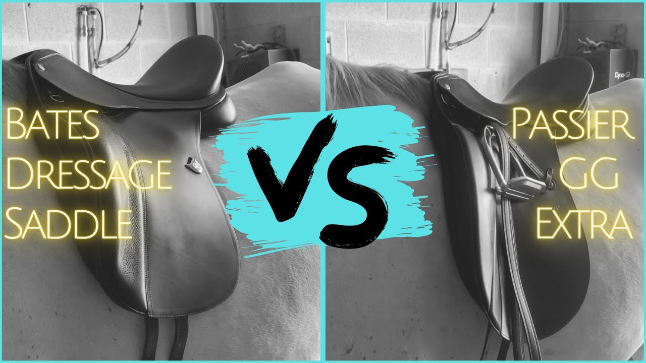 Dressage Saddles - Bates vs Passier for our Holsteiner cross.
