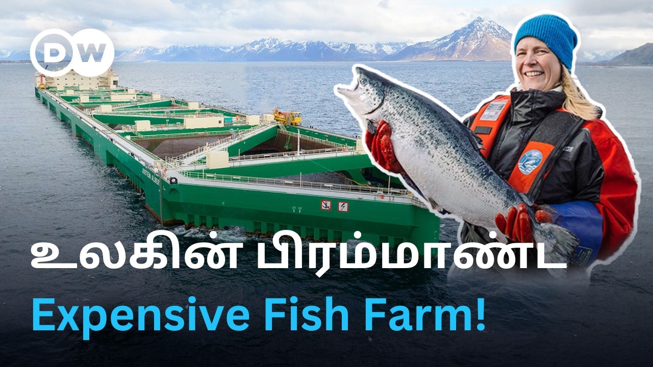 ரூ.500 கோடி லாபம் தரும் Fish Farm - தினமும் 1 கோடி கிலோ மீன்கள்; நடுக்கடலில் கட்டப்பட்டது எப்படி?