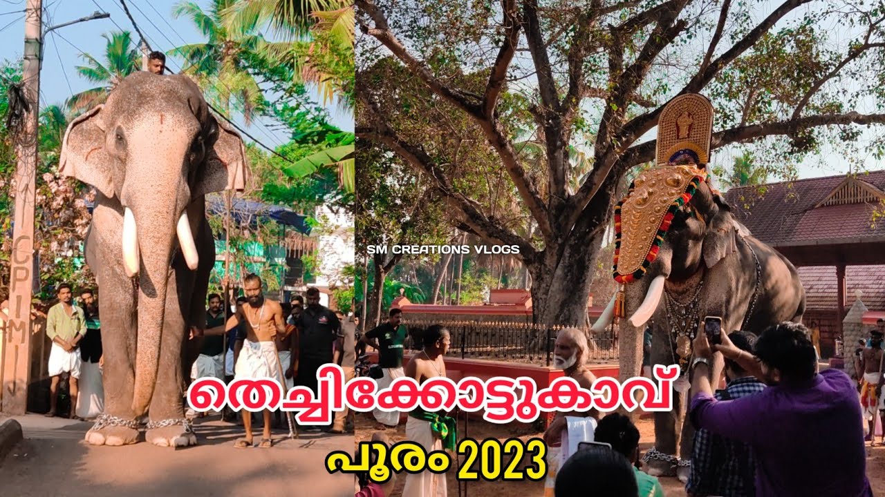 Thechikottukavu Pooram Festival 2023 | thechikottukavu ramachandran | തെച്ചിക്കോട്ടുകാവ് പൂരം 2023 ❤