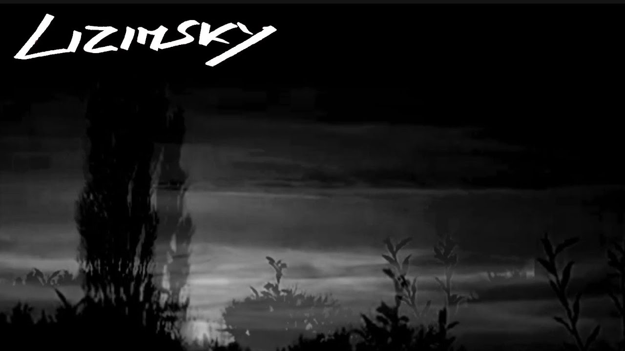 Lizinsky - De Zotte Morgen