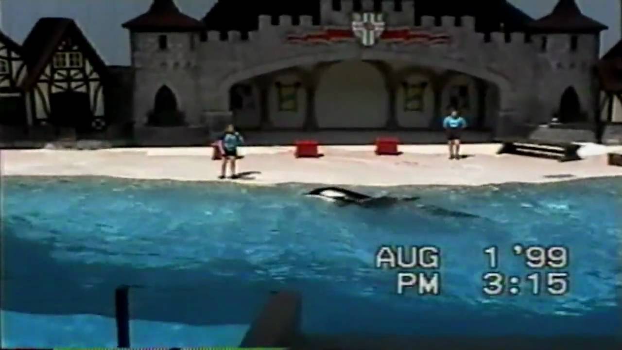 Vol 2 (8/11) Marineland Canada 1999 The Sea Lion & Killer Whale Show