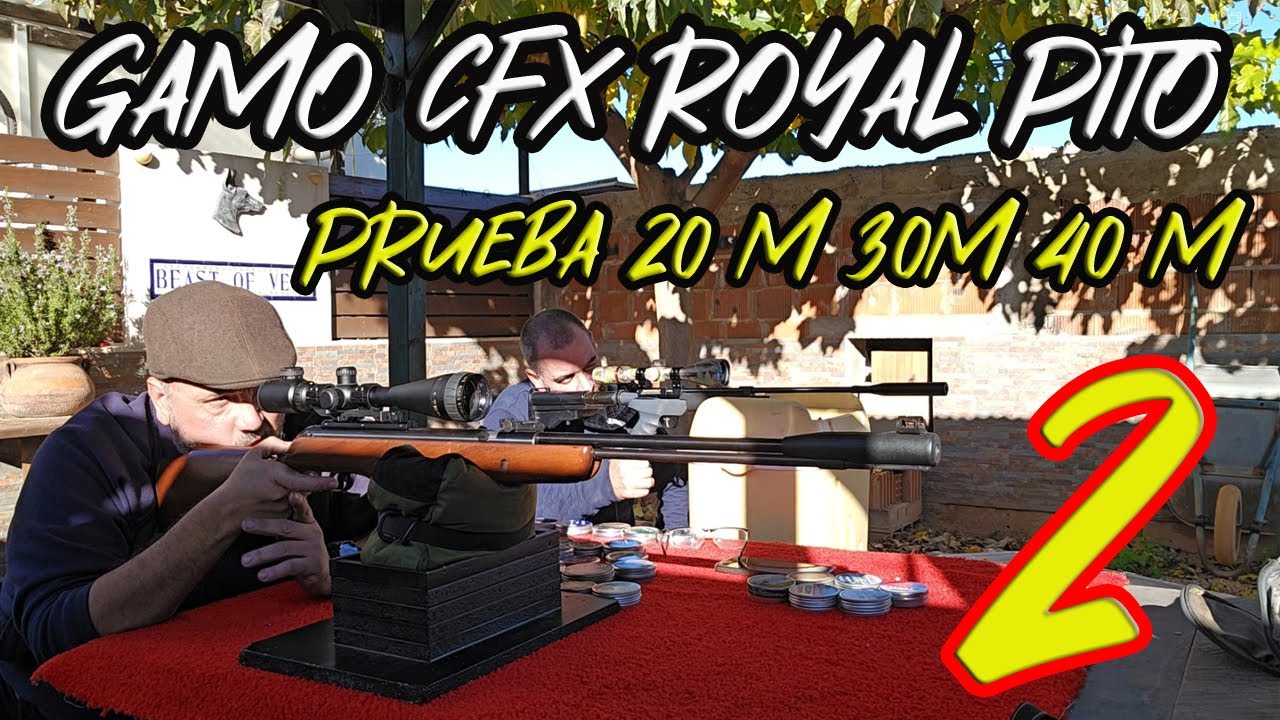 GAMO CFX ROYAL CUSTOMIZADA POR  ALZA Y PUNTO, TIRADA A 30 Y 40 METROS