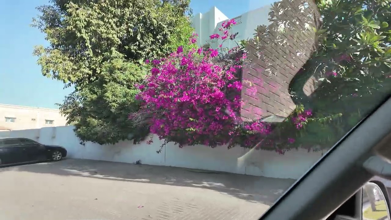 Dubai Drive, Al Wasl by the Canal 4K HD