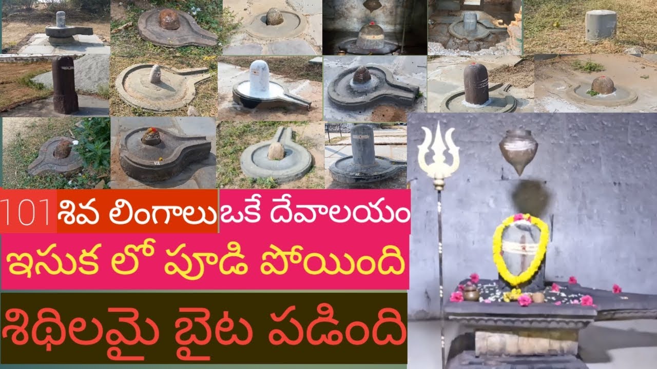 101shiva lingas in one temple/jyothi lingalu in kadapa