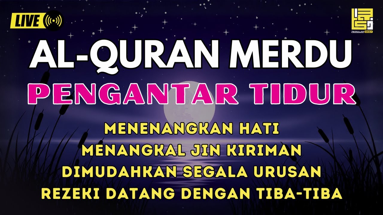 Bacaan Al quran Pengantar Tidur Surat Al mulk,Ar Rahman,Al waqiah,Yasin, Penenang Hati & Pikiran