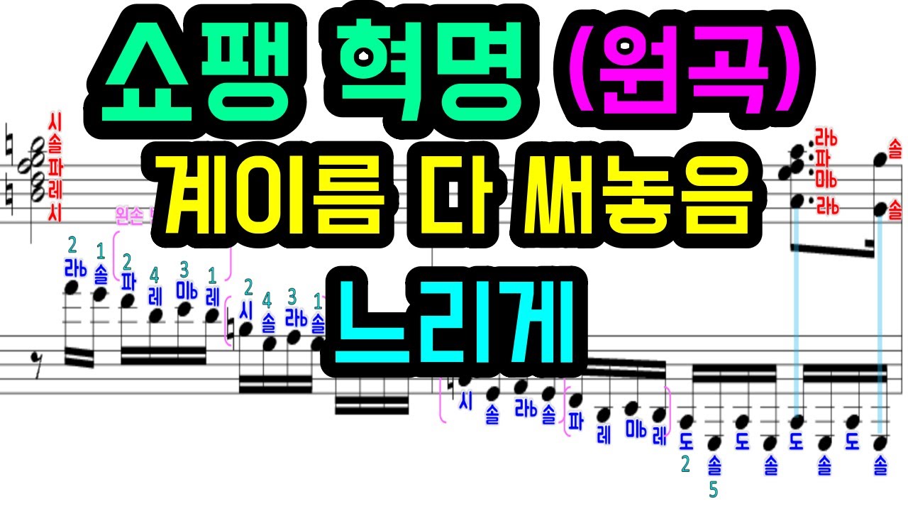 쇼팽 혁명 느리게 | Chopin etude op.10 no.12