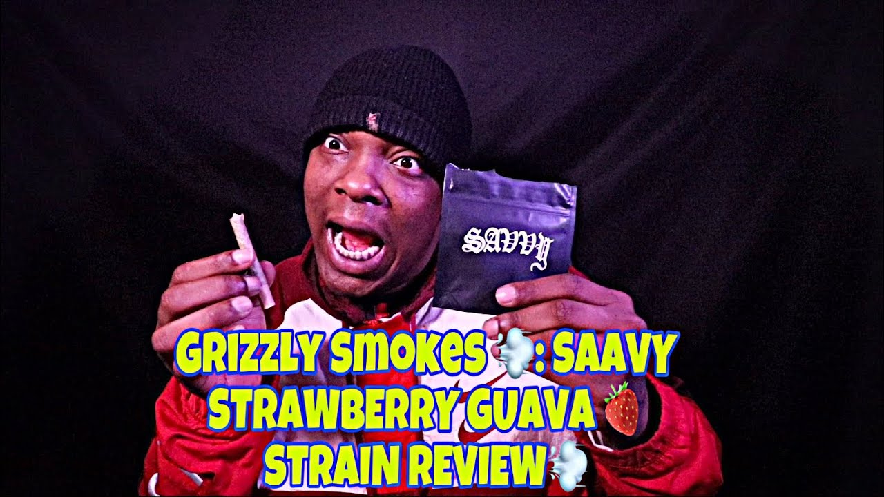 Grizzly Smokes 💨: SAAVY STRAWBERRY GUAVA 🍓STRAIN REVIEW💨