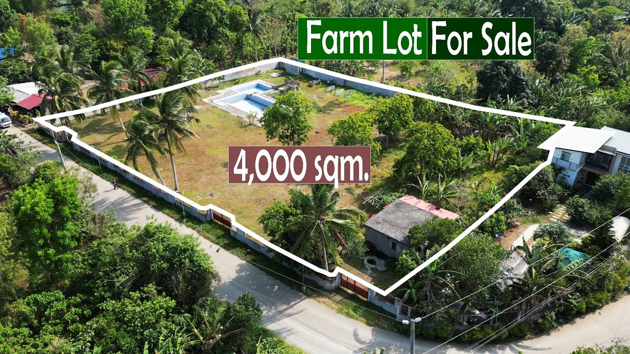 Touring a 4,000 sqm Farm Lot with House & 2 Swimming pool in Amadeo Cavite Near Balite Falls ● 1050