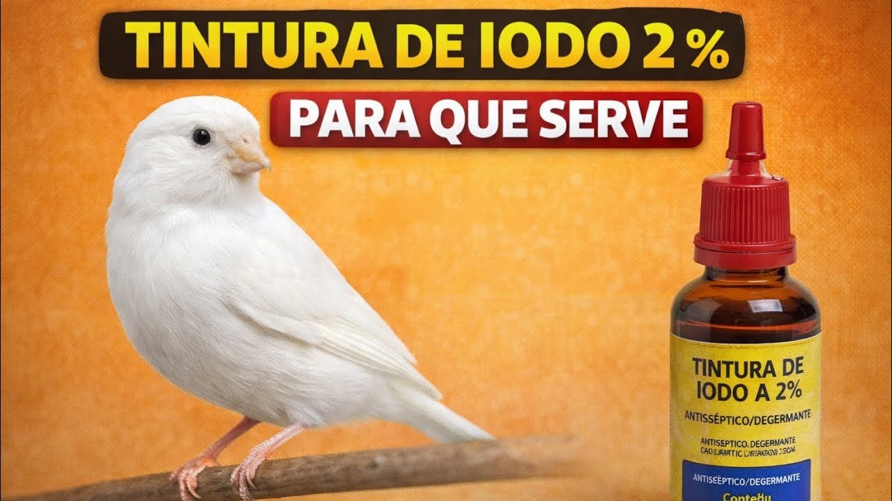 Tintura de iodo 2% pra que serve?