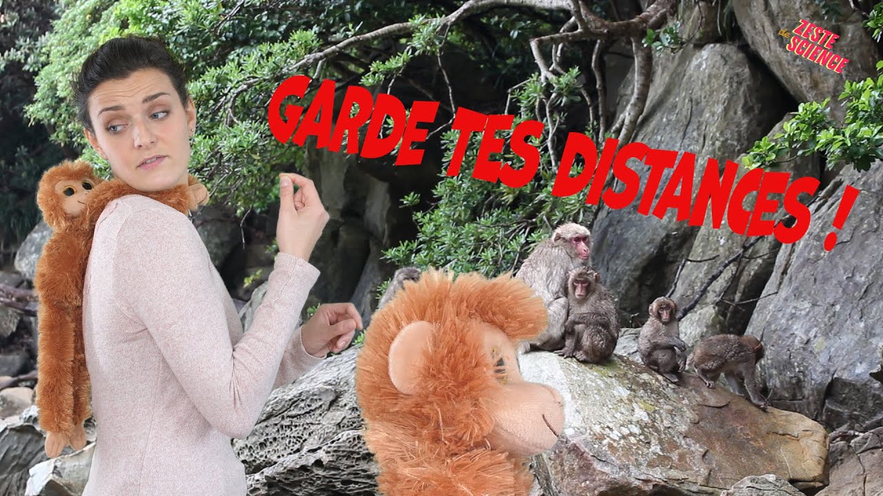 Distanciation sociale chez les animaux  | ZdS#38