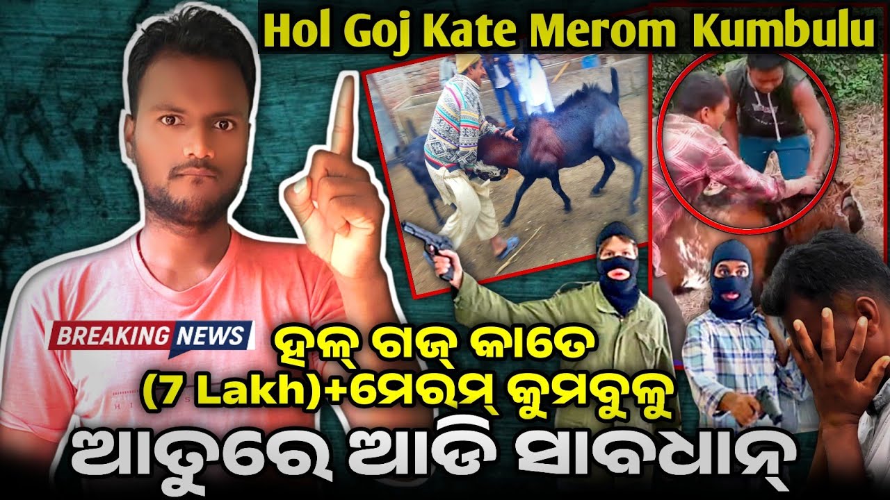 Hol Goj Kate Merom Kumbulu Salag Te (7 Lakh) Taka Kumbulu Keda Ko@MuTraveller @SantaliDigitalLive