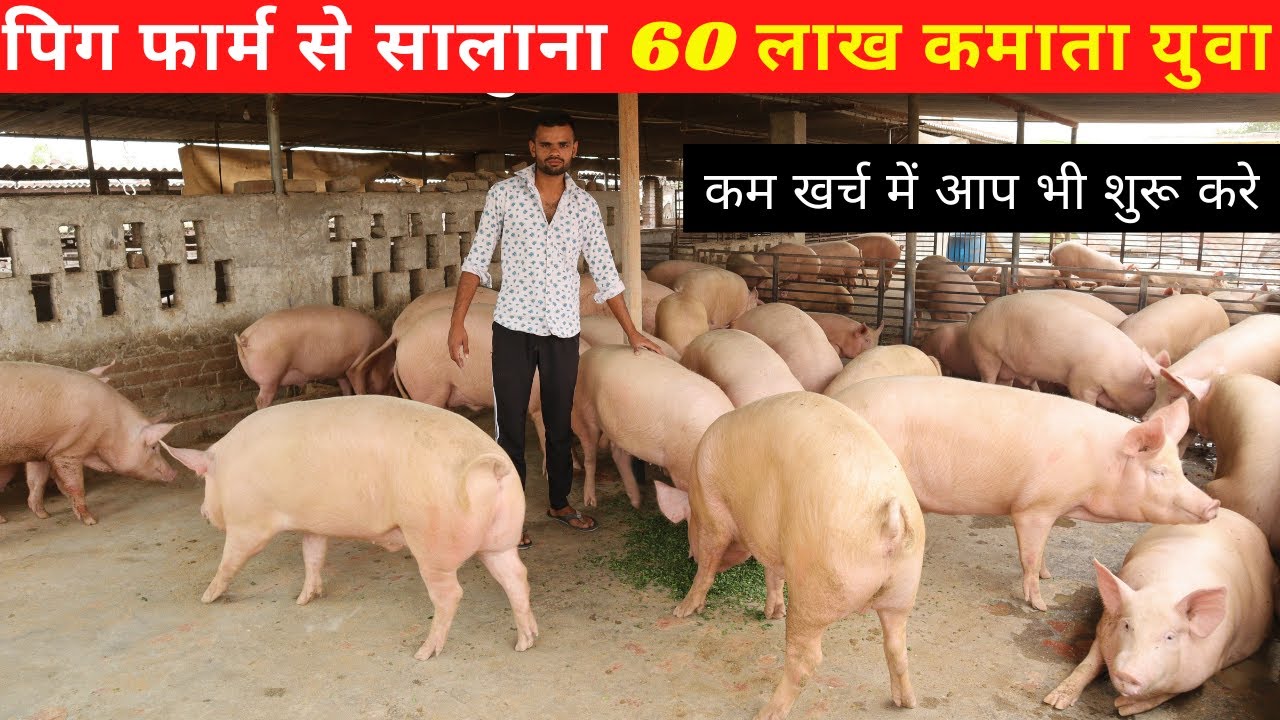 Pig Farm से मैं कमाता हूँ 60 लाख सालाना @@@ IFT