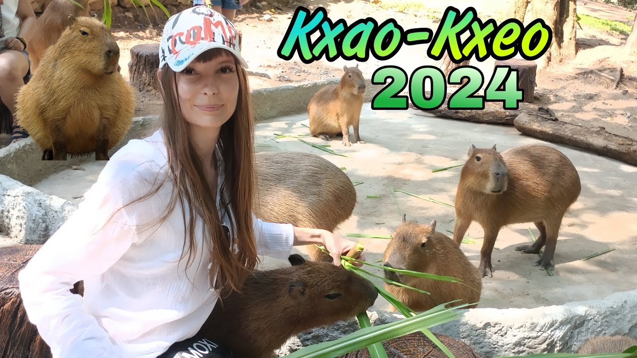 Зоопарк Кхао Кхео в Паттайе. Что изменилось. Лемуры/Капибары.
